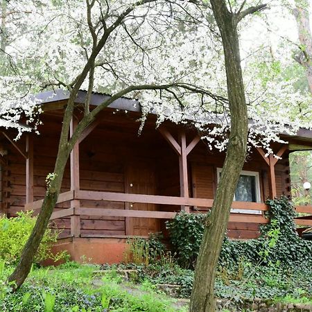 Sosnowy Domek Serpelice Exteriér fotografie